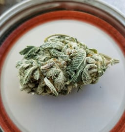 Cannabis Bl&uuml;te liegt auf dem Tisch